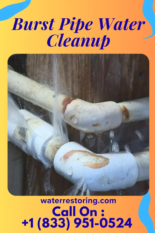 Burst Pipe Water Cleanup in Sackets Harbor, NY