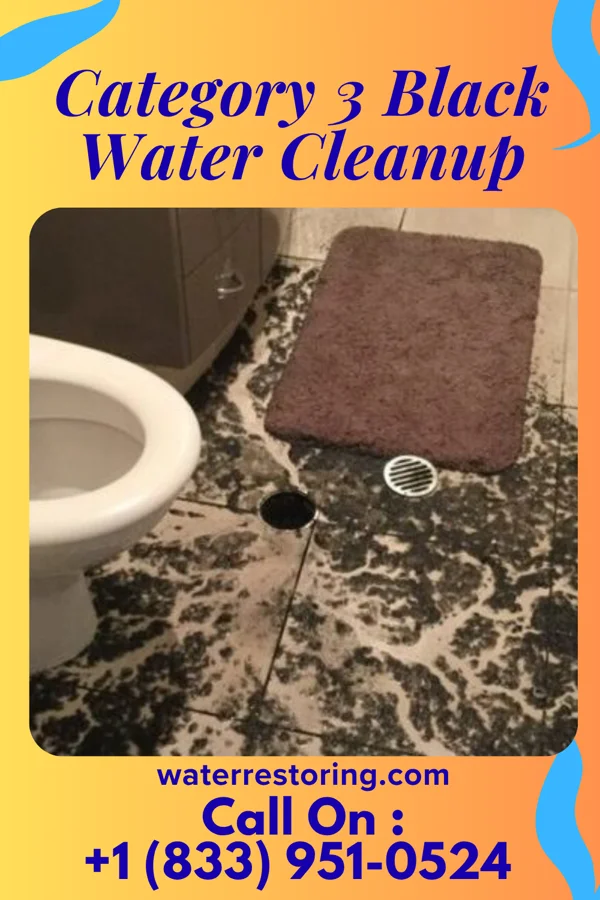 Category 3 Black Water Cleanup in Sackets Harbor, NY