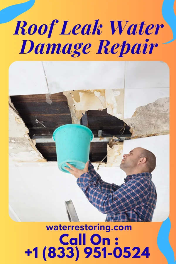 Roof Leak Water Damage Repair in Sackets Harbor, NY