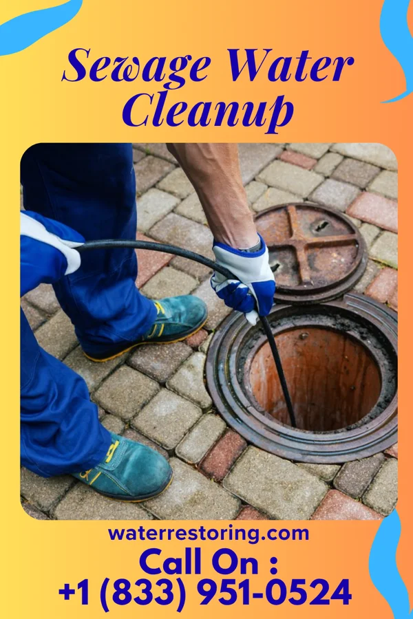 Sewage Water Cleanup in Sackets Harbor, NY